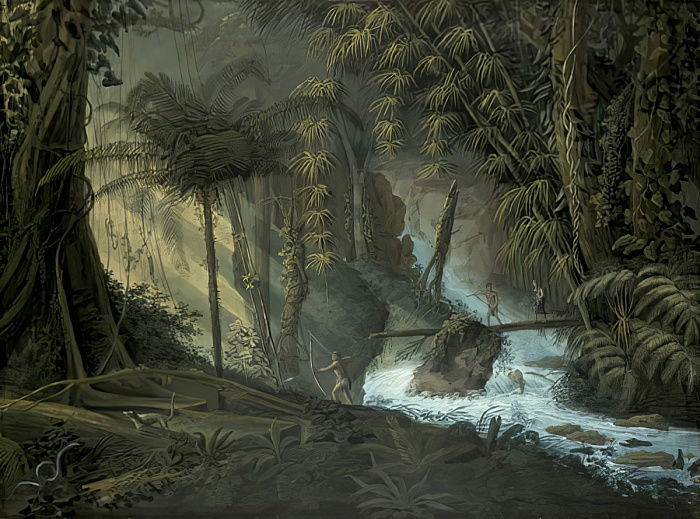 Шарль Отон де Кларак, "Бразильский девственный лес", 1819